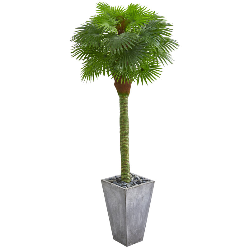 Bayou Breeze 57" Artificial Palm Tree in Planter